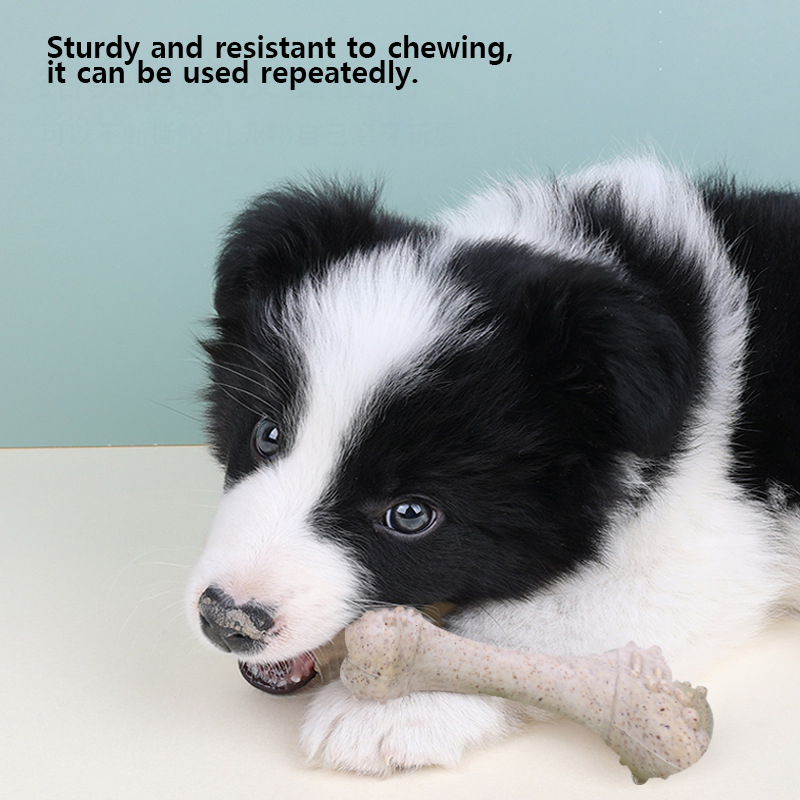 Teeth Cleaning Dog Chew Bone - Giocattoli per animali domestici da 12