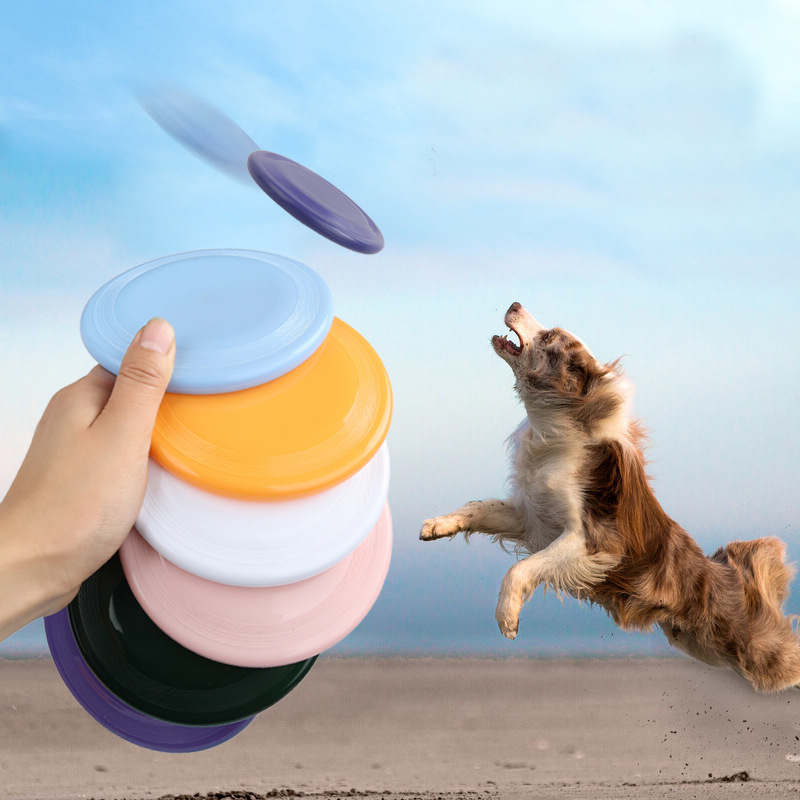 Flying Disc Dog Training Toy - 1 pz divertente disco volante giocattolo