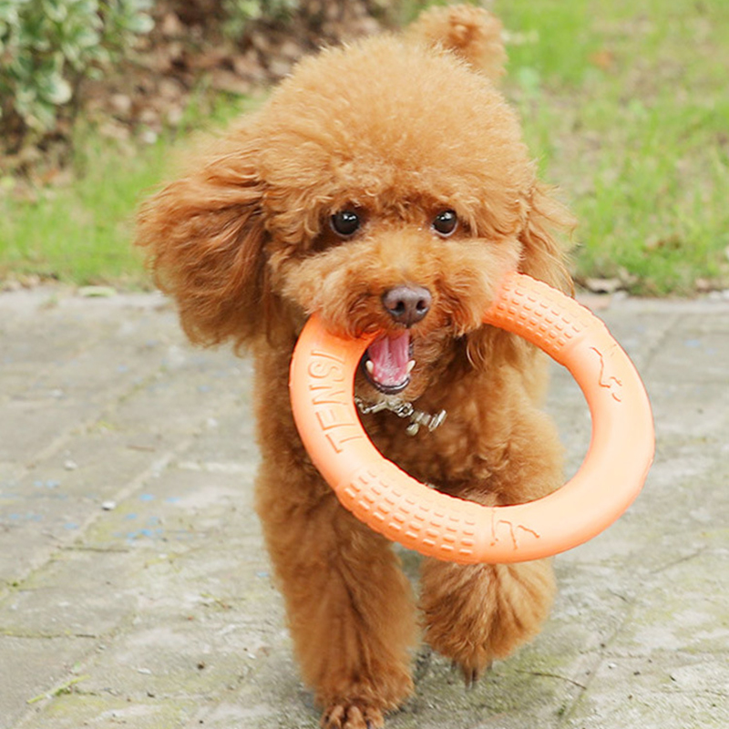 1pc Orange Dog Toys Pet Flying - Interactive Squeaky Plush Dog Toy recensione e prezzo