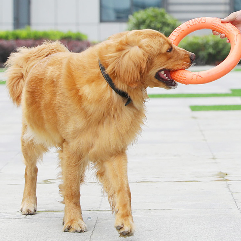 1pc Orange Dog Toys Pet Flying - Interactive Squeaky Plush Dog Toy recensione e prezzo