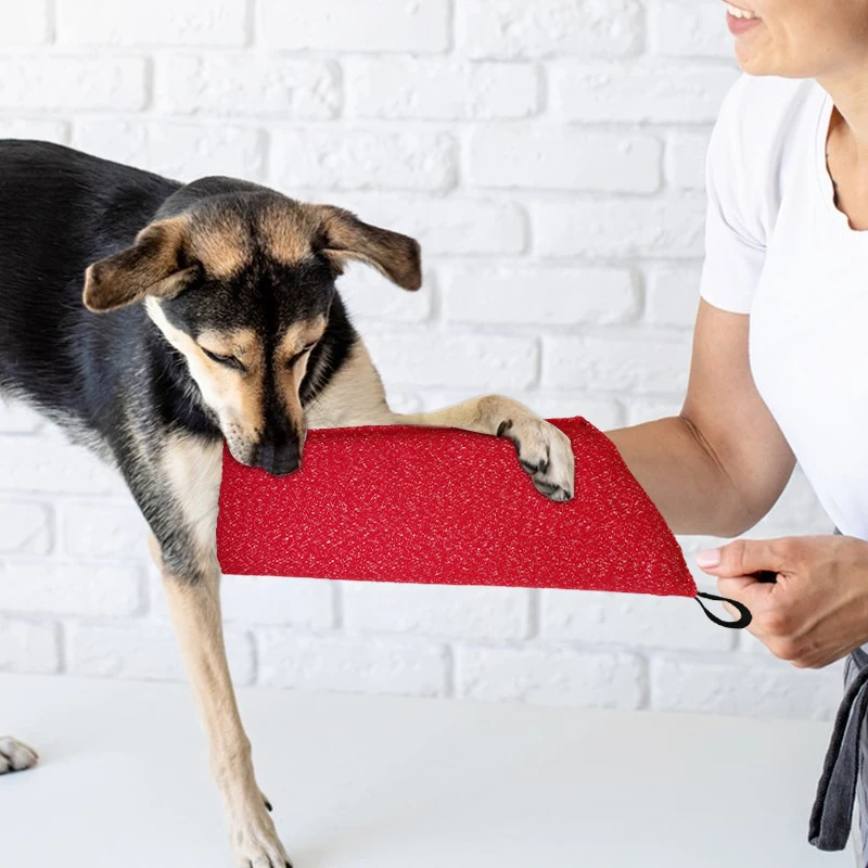 Manicotti per addestramento de - Interactive Squeaky Plush Dog Toy recensione e prezzo