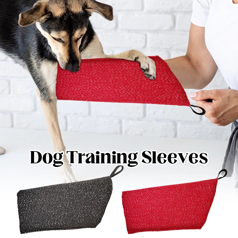 Manicotti per addestramento de - Interactive Squeaky Plush Dog Toy recensione e prezzo