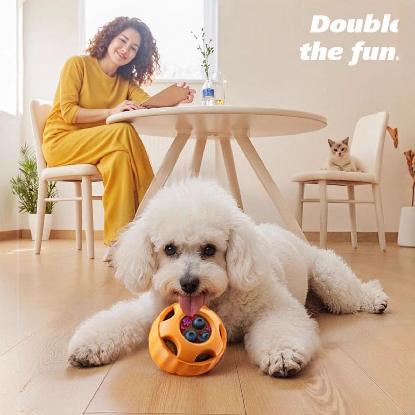 Giocattoli per cani con erogaz - Dog Puzzle Feeder Toy recensione e prezzo