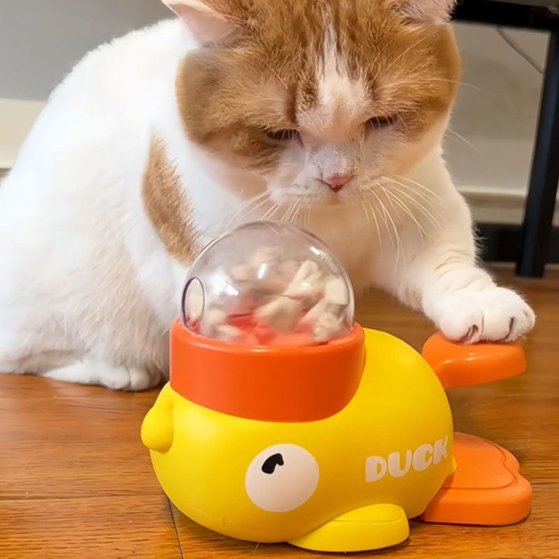 Distributore di crocchette int - Dog Puzzle Feeder Toy recensione e prezzo
