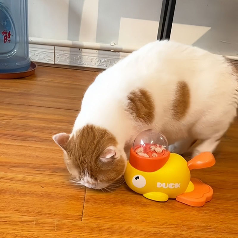 Distributore di crocchette int - Dog Puzzle Feeder Toy recensione e prezzo