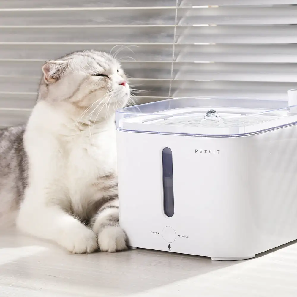 Fontana intelligente per anima - Pet Feeders recensione e prezzo