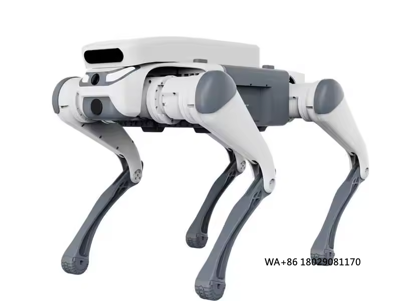 acrobatico telecomando giocatt - Dog Toys recensione e prezzo