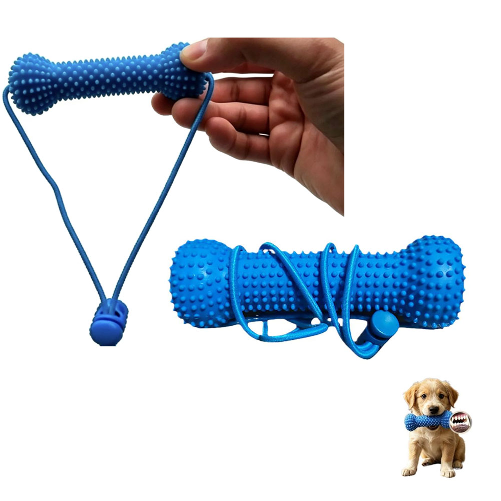 Giocattolo da masticare per la - Teeth Cleaning Dog Chew Bone recensione e prezzo