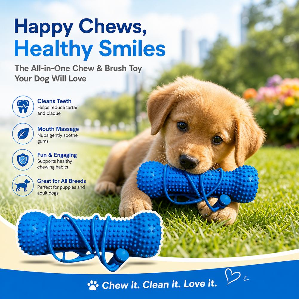 Giocattolo da masticare per la - Teeth Cleaning Dog Chew Bone recensione e prezzo