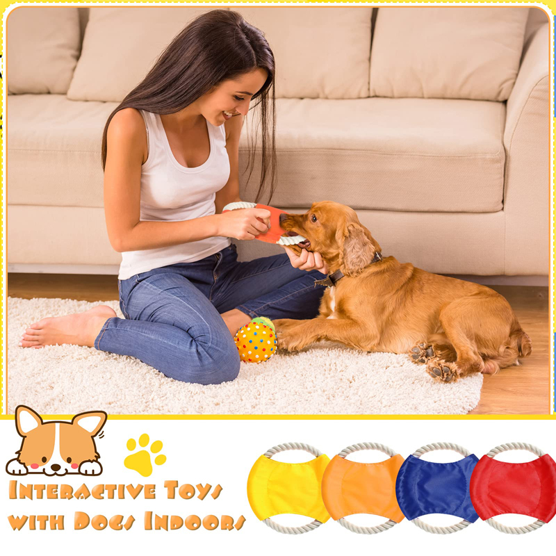 Benepaw durevole cotone cane c - Flying Disc Dog Training Toy recensione e prezzo