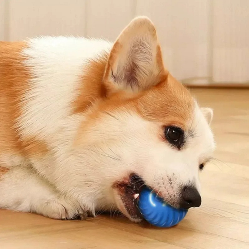 Palla Giocattolo per Cani con  - Suction Cup Dog Tug Toy recensione e prezzo