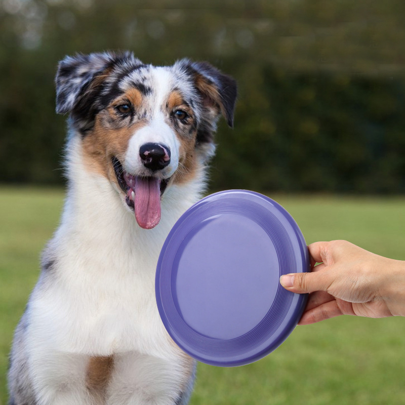 1 pz divertente disco volante  - Flying Disc Dog Training Toy recensione e prezzo