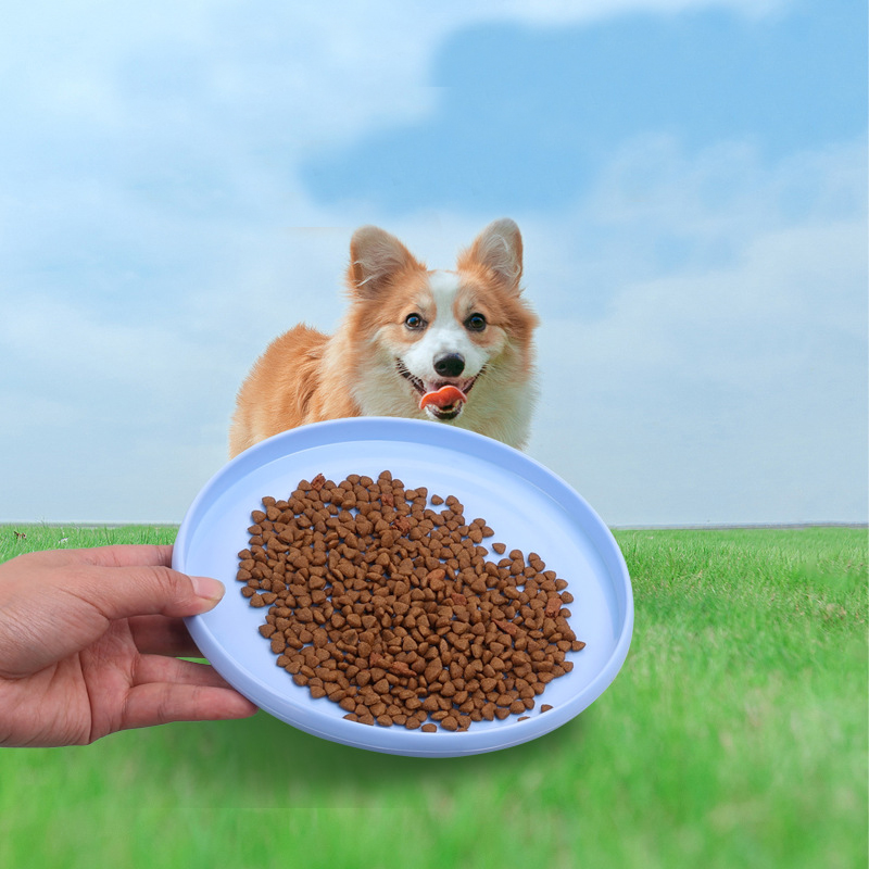 1 pz divertente disco volante  - Flying Disc Dog Training Toy recensione e prezzo