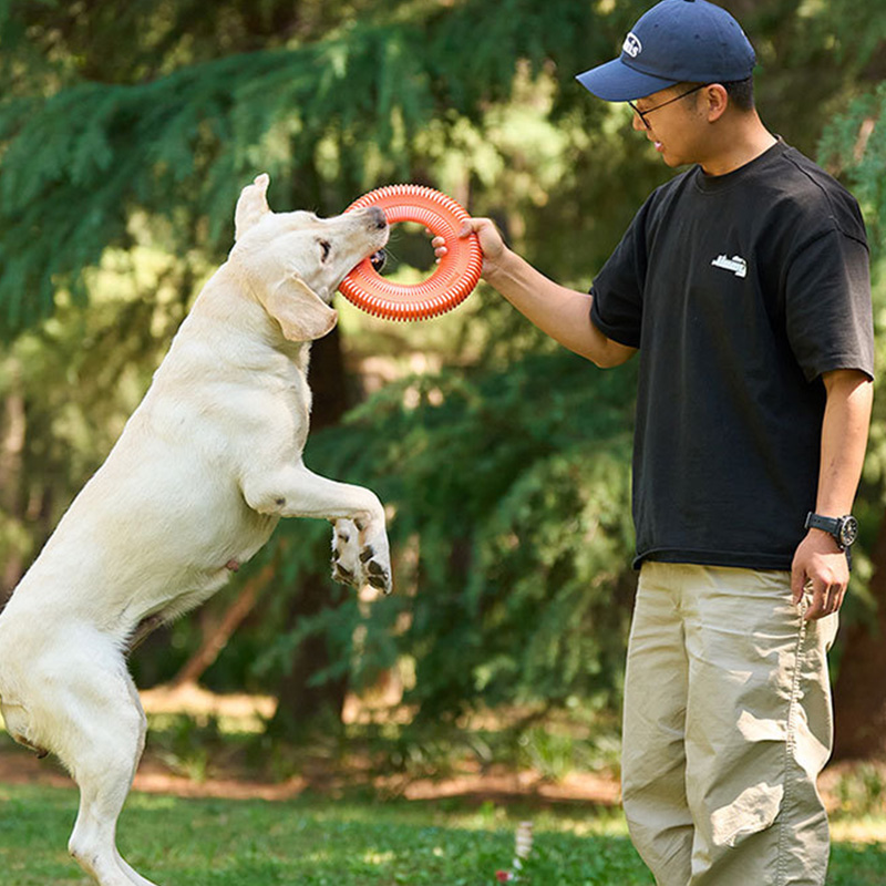Giocattoli per cani Divertente - Flying Disc Dog Training Toy recensione e prezzo