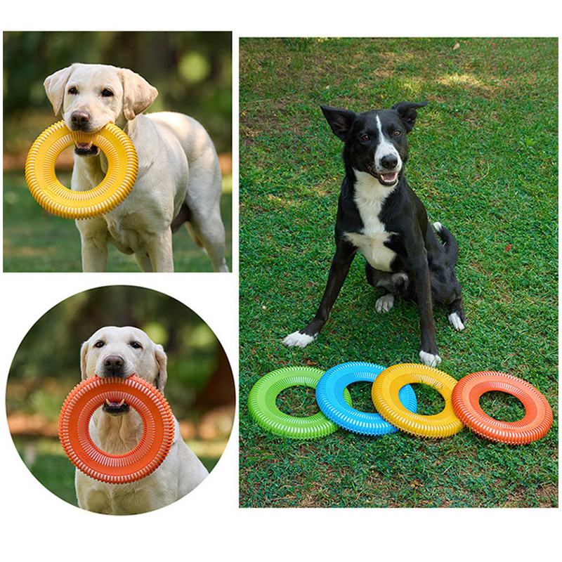 Giocattoli per cani Divertente - Flying Disc Dog Training Toy recensione e prezzo