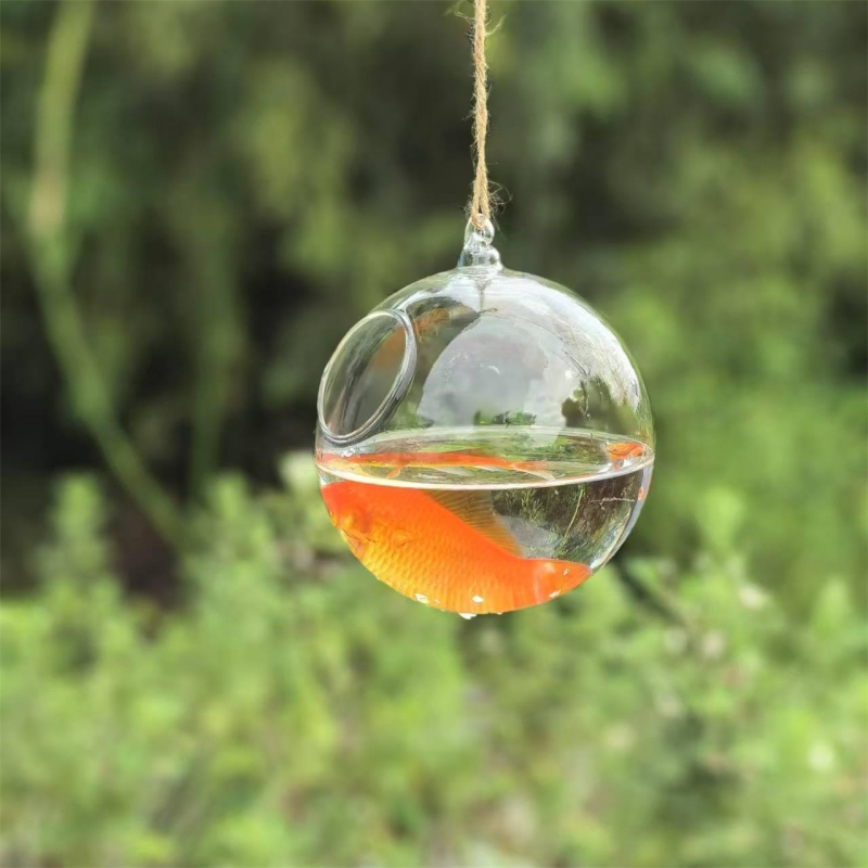 Terrario in Vetro Trasparente  - Aquarium recensione e prezzo
