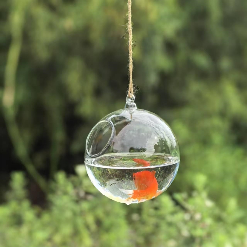 Terrario in Vetro Trasparente  - Aquarium recensione e prezzo