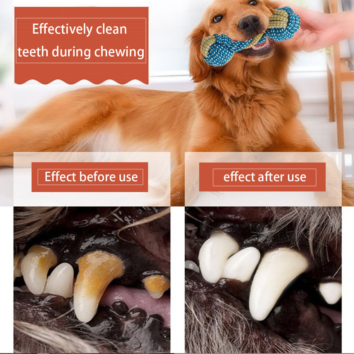 Nuovo 7PCS Pet Cucciolo di Can - Teeth Cleaning Dog Chew Bone recensione e prezzo
