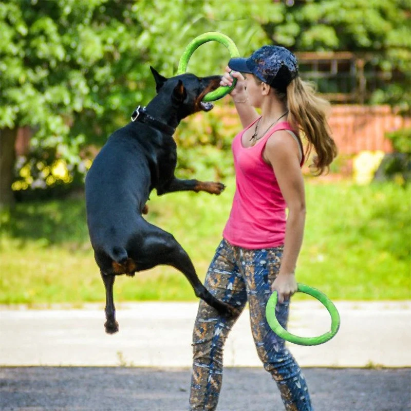 Giocattoli per cani dischi vol - Suction Cup Dog Tug Toy recensione e prezzo