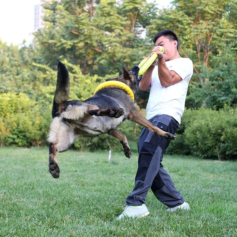 Giocattoli per cani: Frisbee v - Flying Disc Dog Training Toy recensione e prezzo