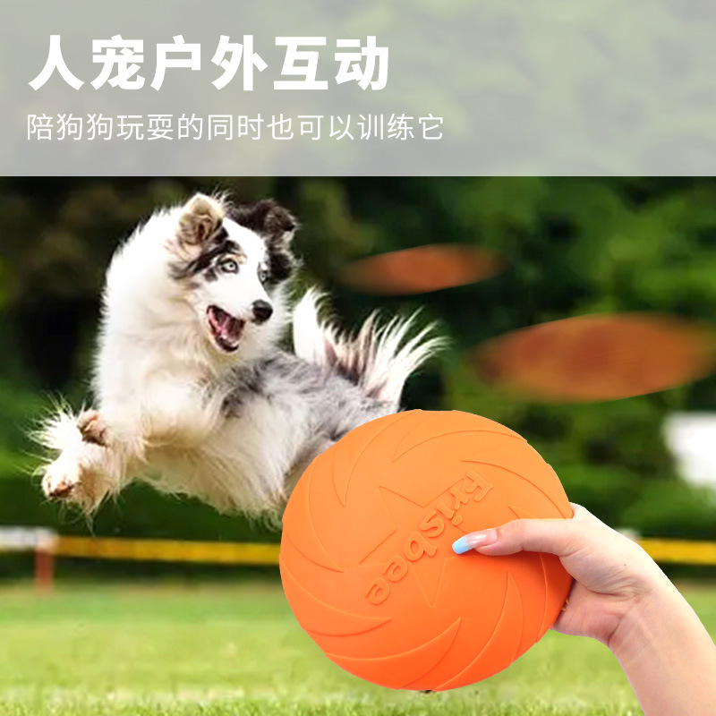 Giocattoli per animali domesti - Flying Disc Dog Training Toy recensione e prezzo