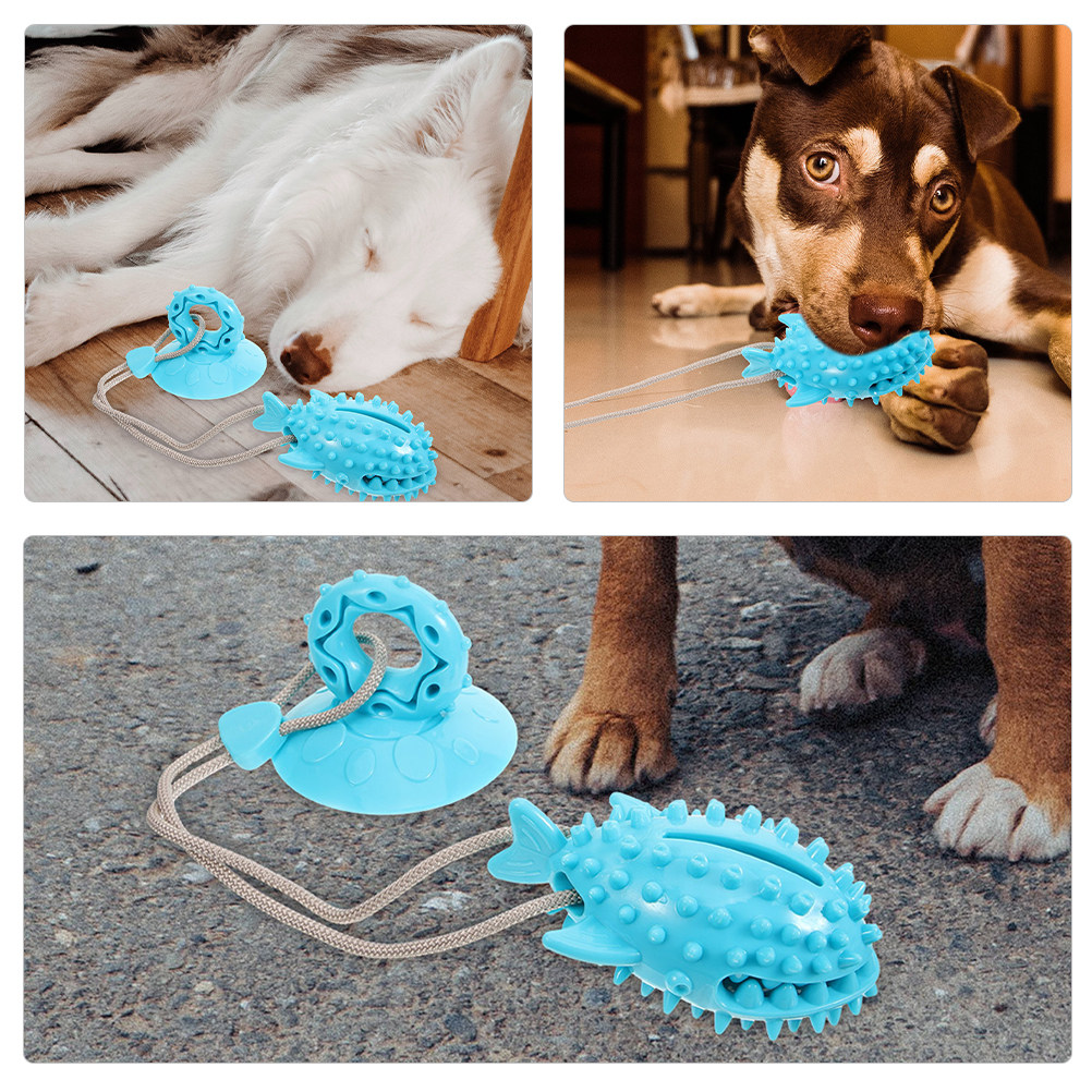 2 pezzi di giocattolo interatt - Suction Cup Dog Tug Toy recensione e prezzo
