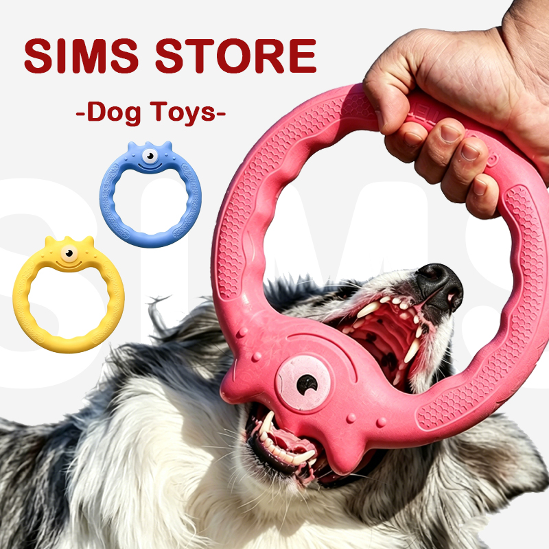 Dischi volanti in TPR resisten - Flying Disc Dog Training Toy recensione e prezzo