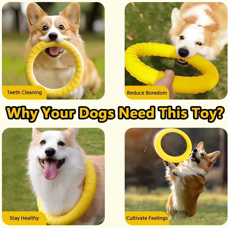 Giocattoli per Cani, Dischi Vo - Flying Disc Dog Training Toy recensione e prezzo