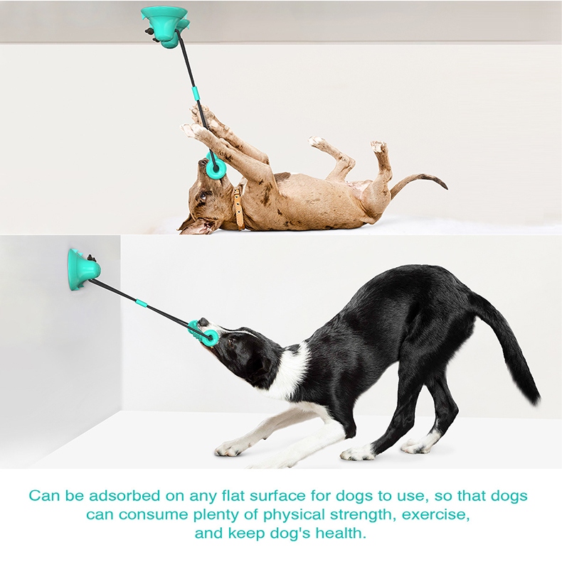 Giocattolo per cani con doppia - Dog Rope Toy Aggressive Chewers recensione e prezzo