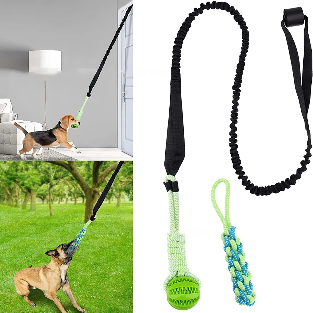 Giocattolo interattivo per can - Suction Cup Dog Tug Toy recensione e prezzo