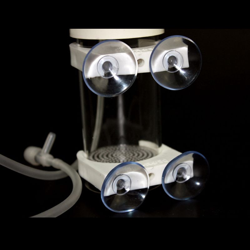 Incubatrice per Uova di Ciclid - Aquarium recensione e prezzo