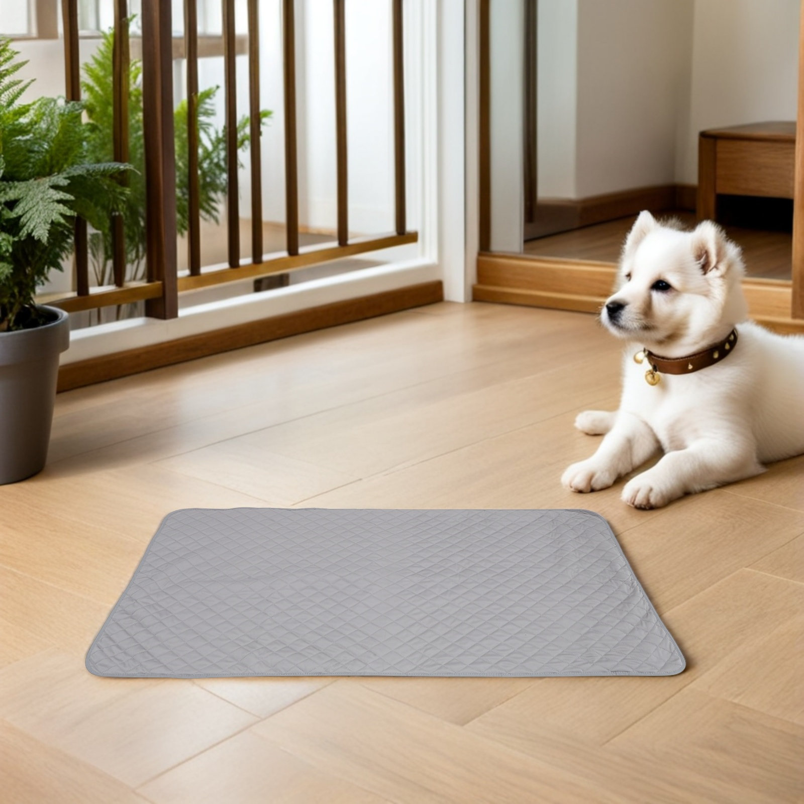 Coperta impermeabile per cani, - Pet Beds recensione e prezzo