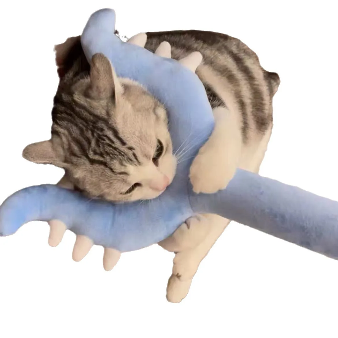 Bastoncino di Sottomissione in - Cat Toys recensione e prezzo