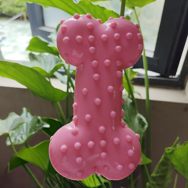 Giocattolo per cani Suono di g - Teeth Cleaning Dog Chew Bone recensione e prezzo