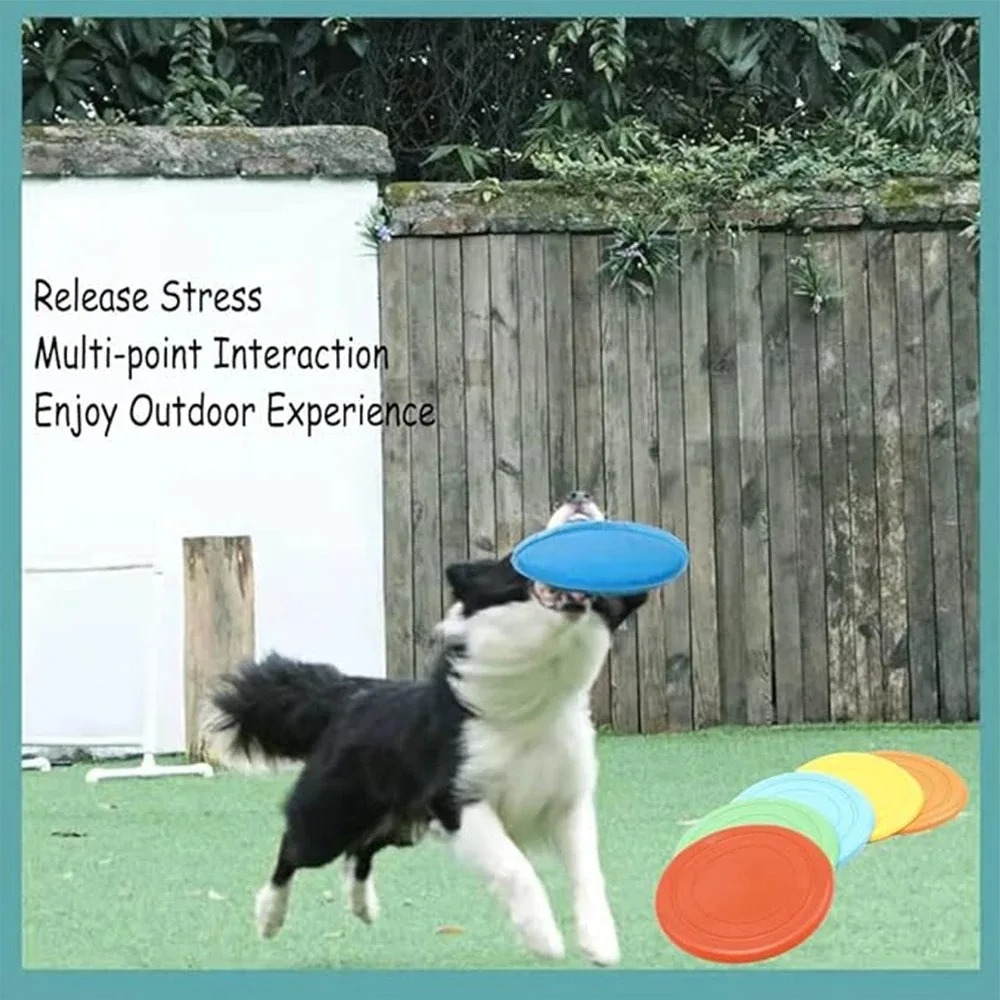 Disco volante in silicone Dive - Flying Disc Dog Training Toy recensione e prezzo